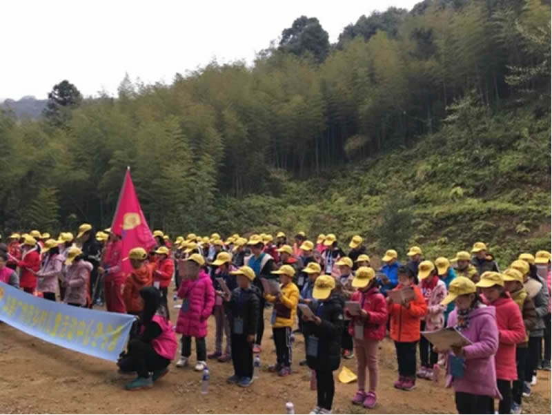 博亚体育app入口