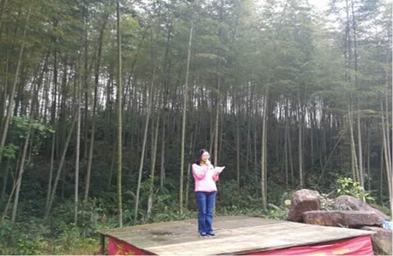 博亚体育app入口