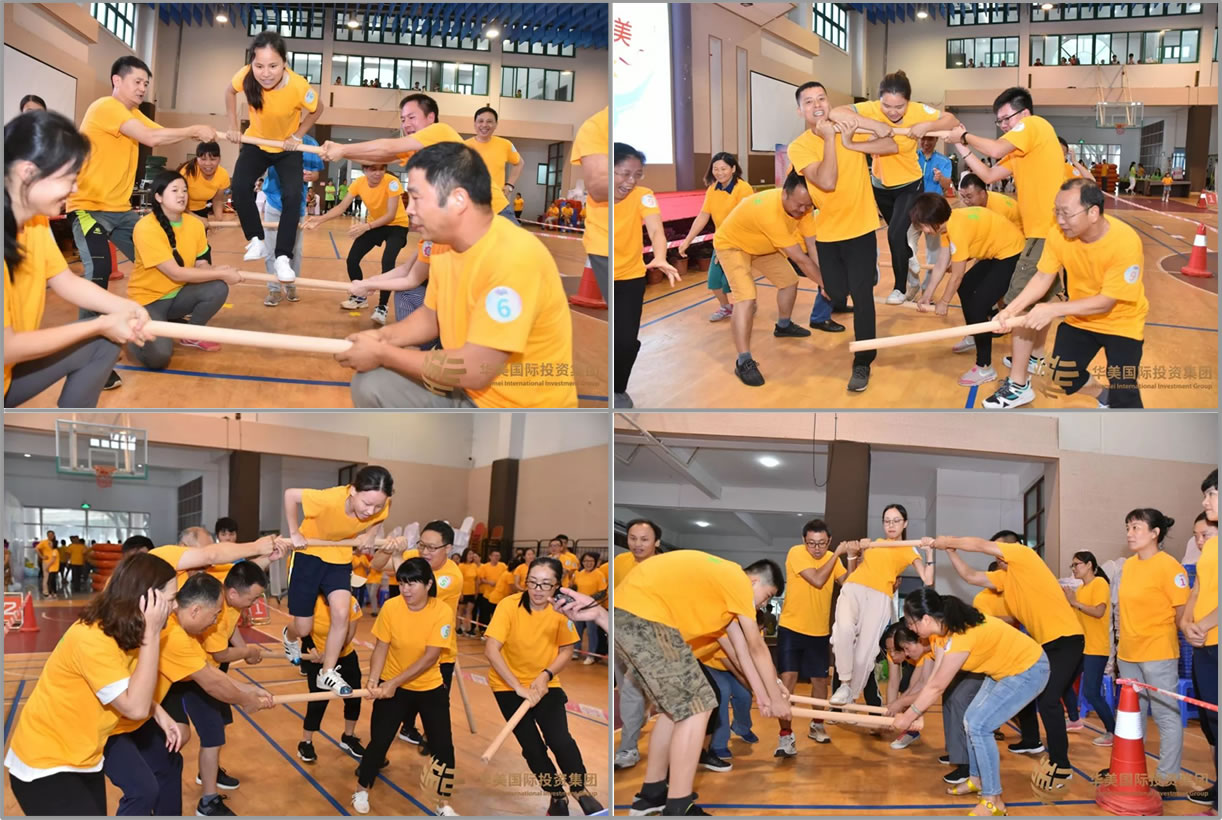 博亚体育app入口