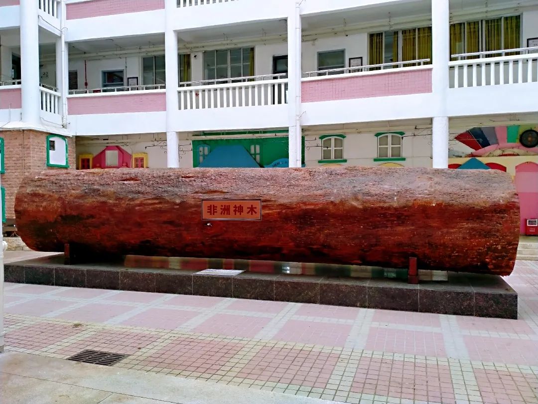 博亚体育app入口