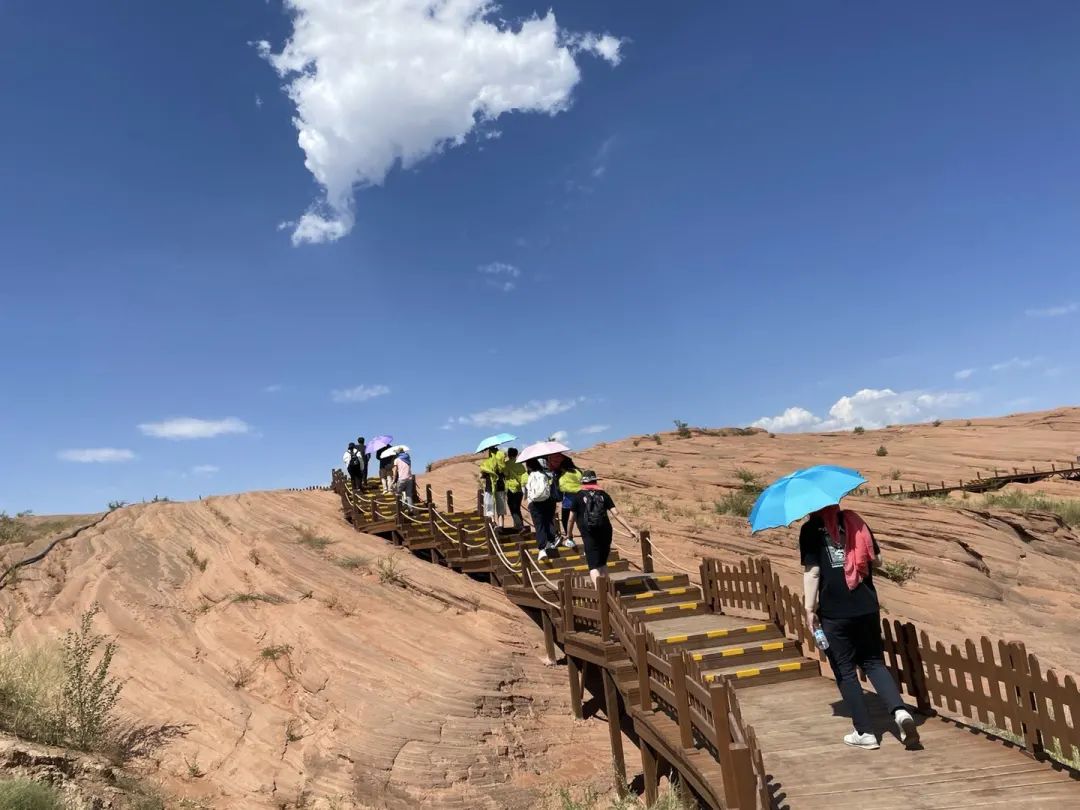 博亚体育app入口