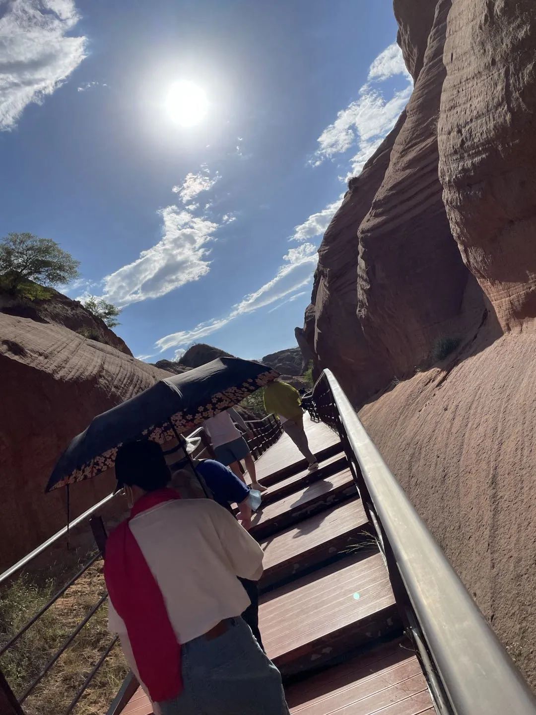 博亚体育app入口